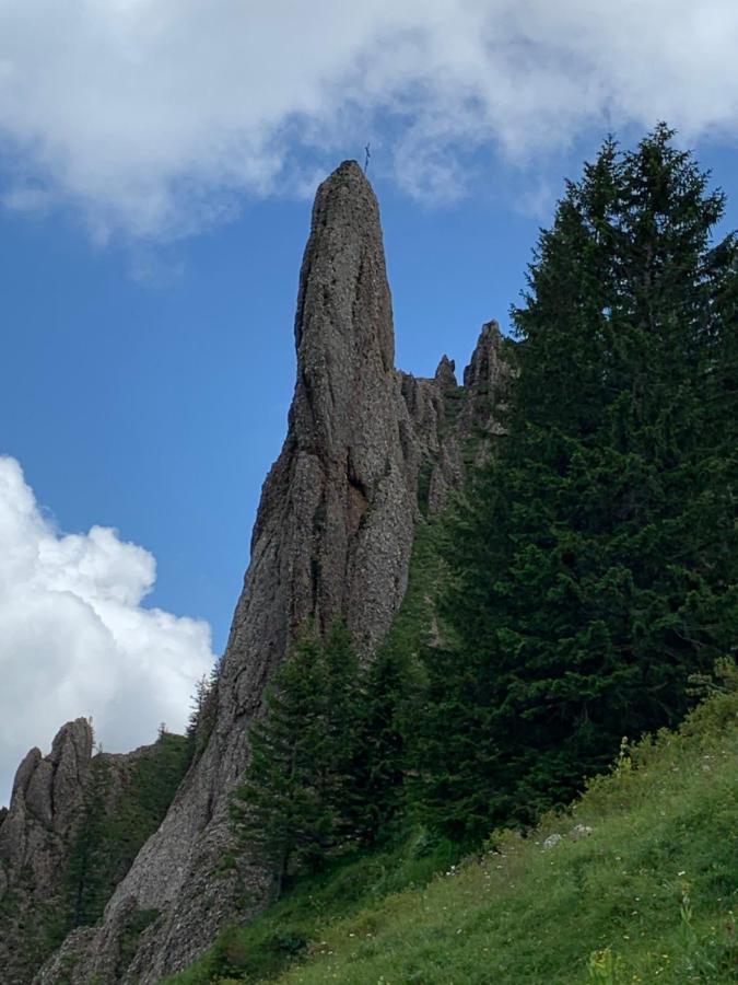 Ferienwohnung "Am Mittag" Blaichach Exteriér fotografie
